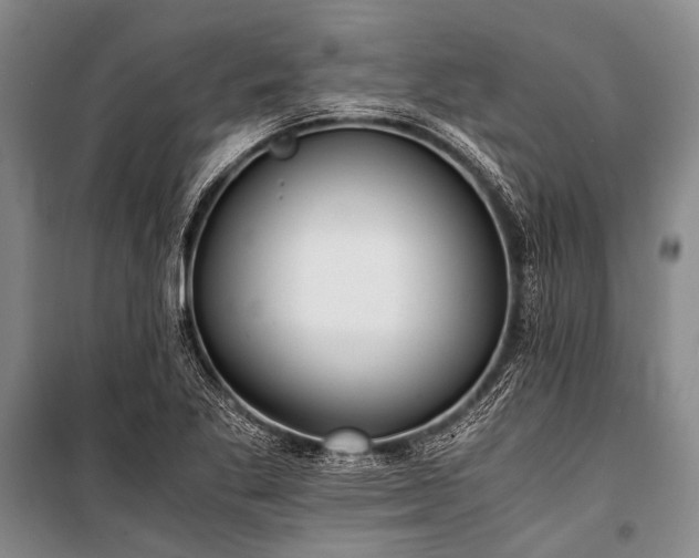 X0000100941269200807011236