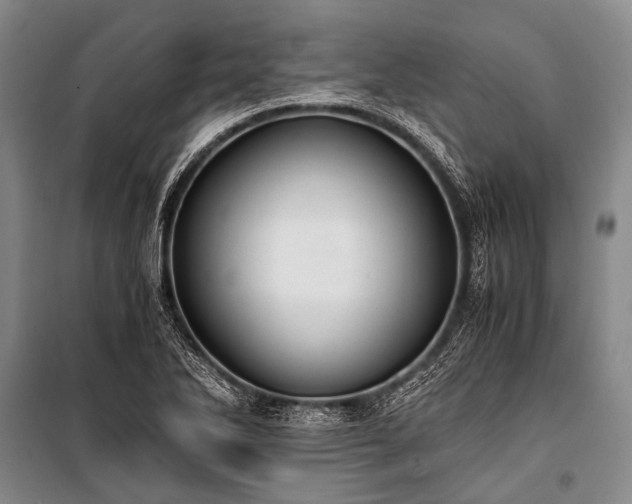 X0000100941270200807011236