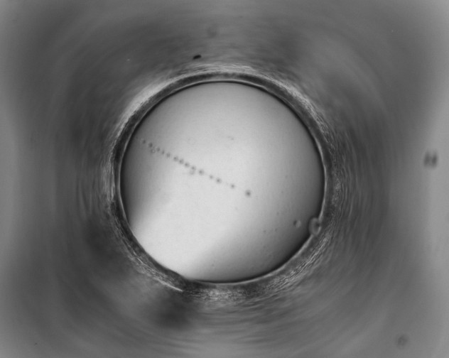 X0000100941271200807011236