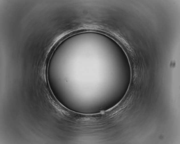 X0000100941272200807011236