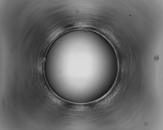 X0000100941273200807011236