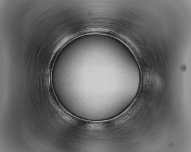 X0000100941274200807011236