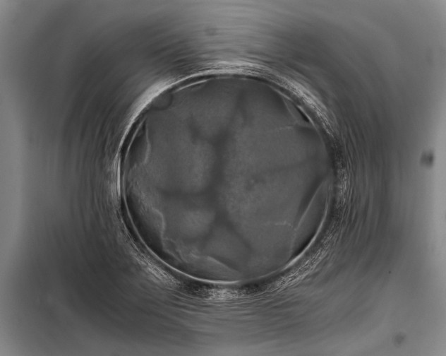 X0000100941275200807011236