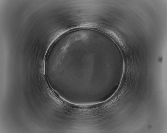 X0000100941276200807011236