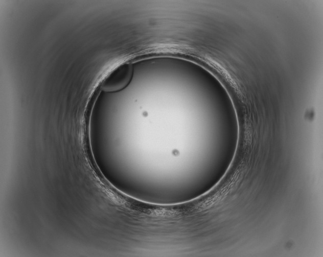 X0000100941277200807011236