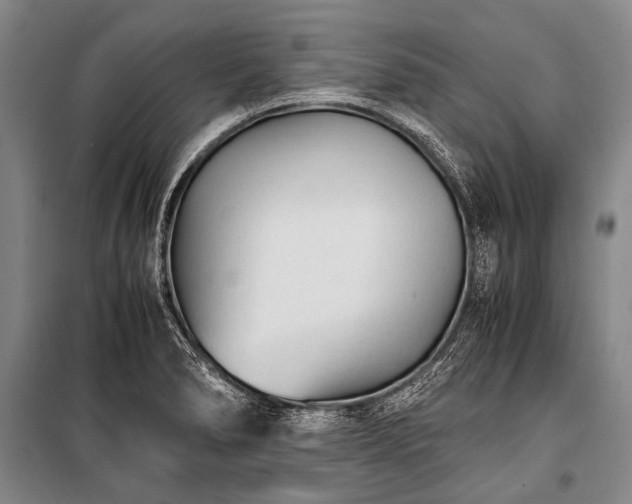 X0000100941278200807011236