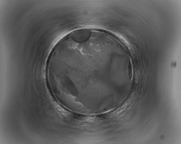 X0000100941279200807011236