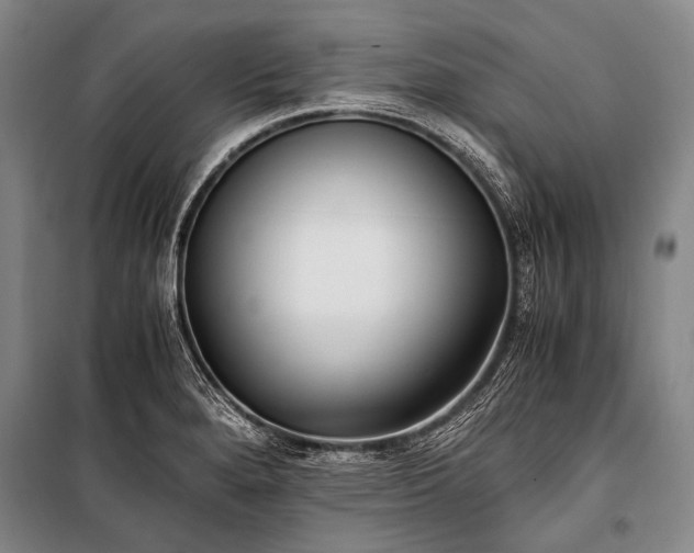 X0000100941280200807011236