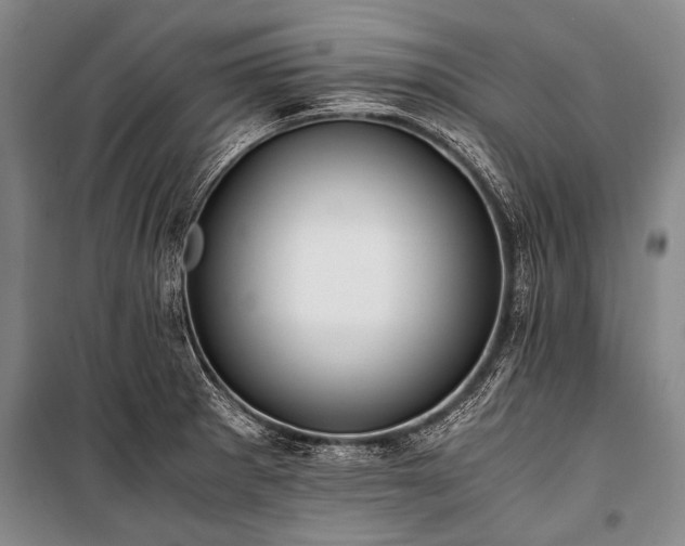 X0000100941281200807011236