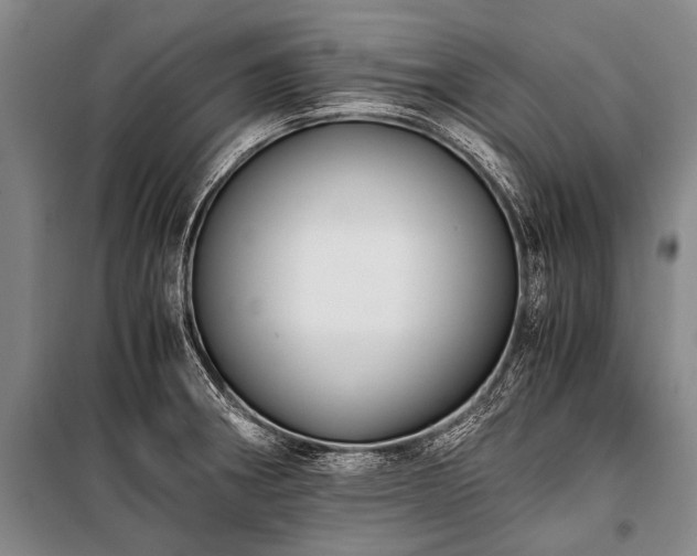 X0000100941282200807011236