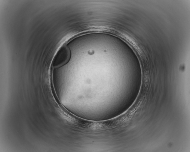 X0000100941283200807011236