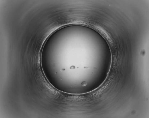 X0000100941284200807011236