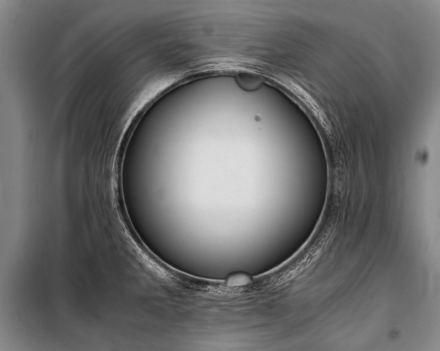 X0000100941285200807011236