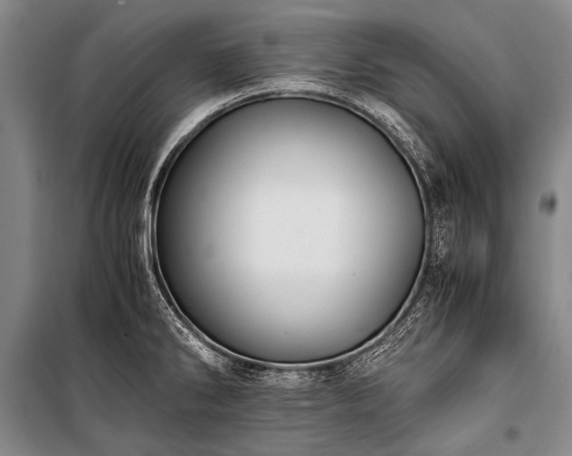 X0000100941286200807011236