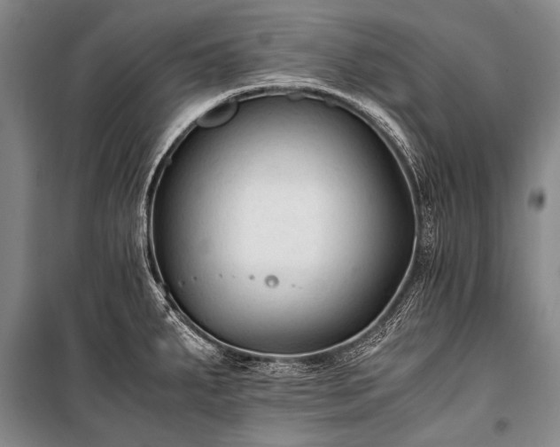 X0000100941287200807011236