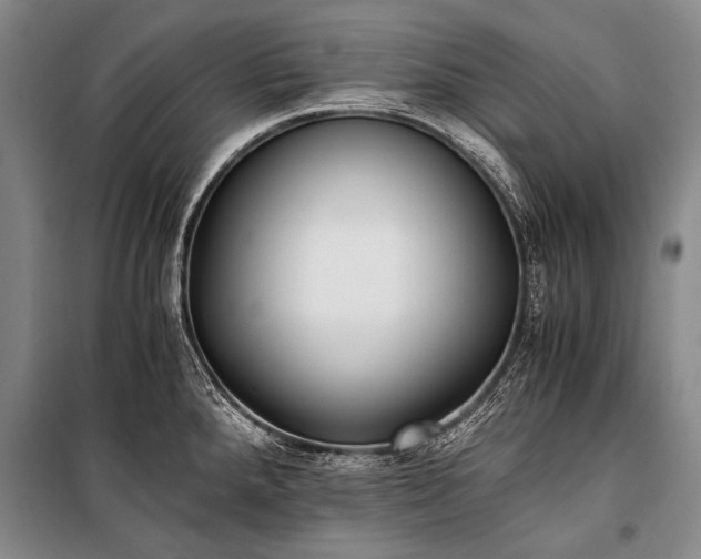 X0000100941288200807011236