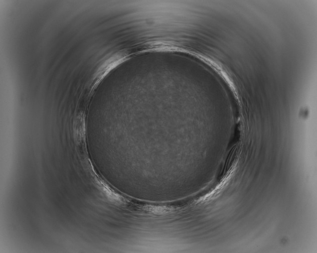 X0000100941289200807011236