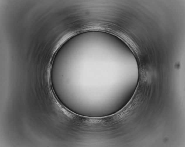 X0000100941290200807011236