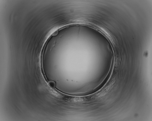 X0000100941291200807011236