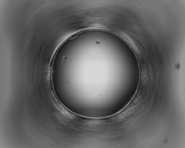 X0000100941292200807011236