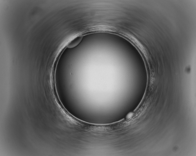 X0000100941293200807011236