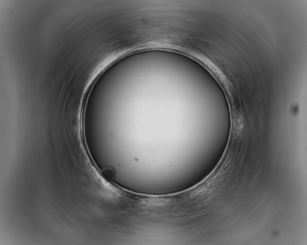 X0000100941294200807011236