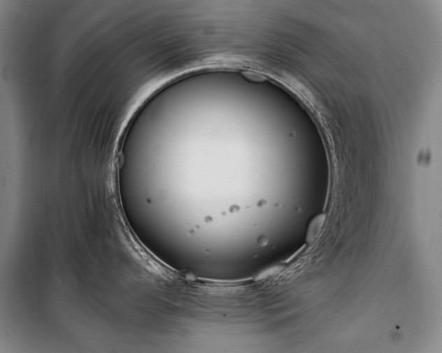 X0000100941296200807011236