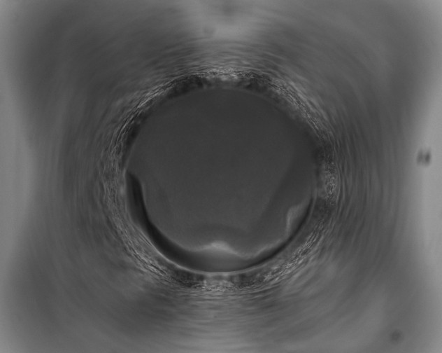 X0000100941297200807011235