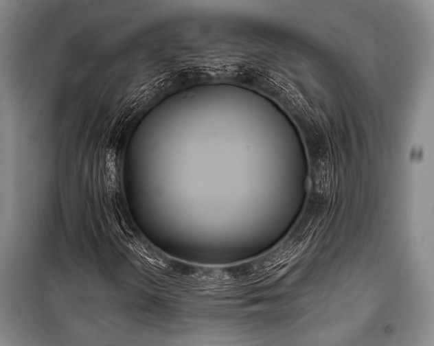 X0000100941298200807011235