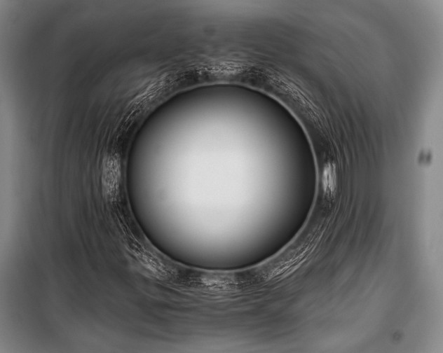 X0000100941299200807011235