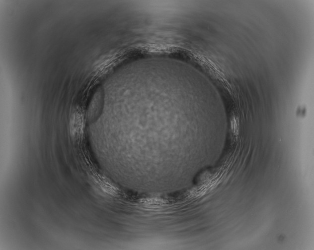 X0000100941300200807011235