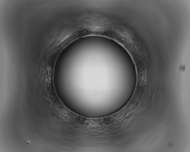 X0000100941301200807011235