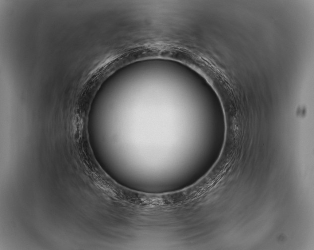 X0000100941302200807011235