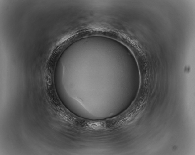 X0000100941303200807011235