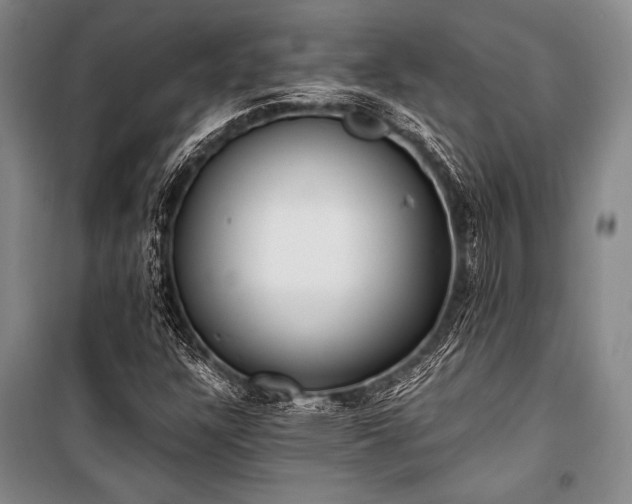 X0000100941304200807011235