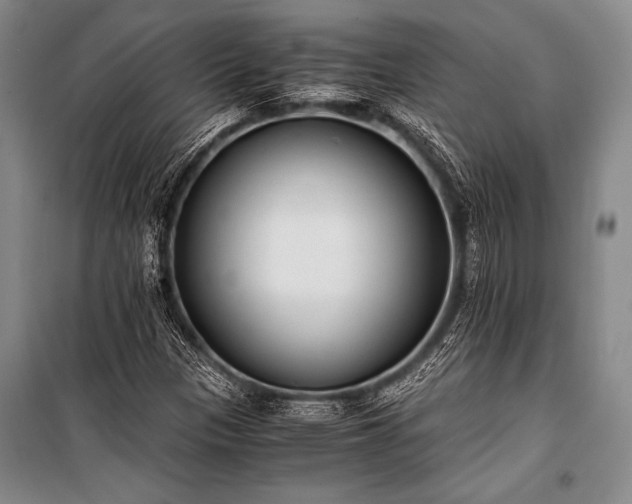 X0000100941305200807011235