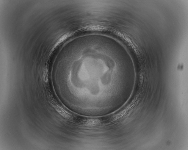 X0000100941306200807011235