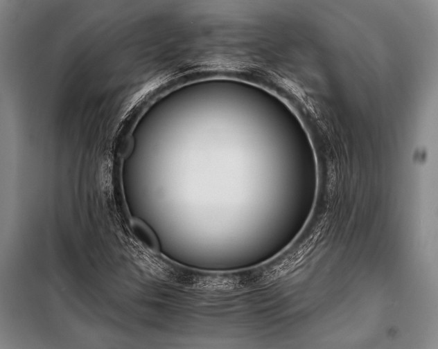 X0000100941307200807011235