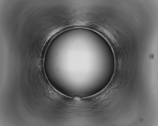 X0000100941308200807011235