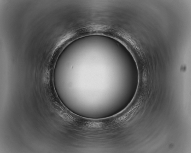 X0000100941309200807011235