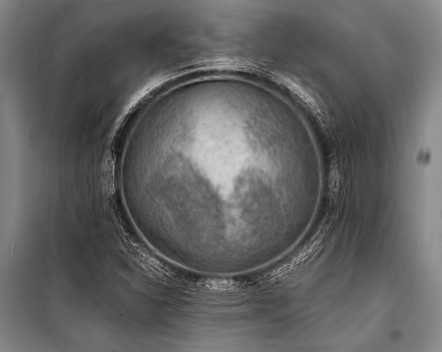 X0000100941310200807011235