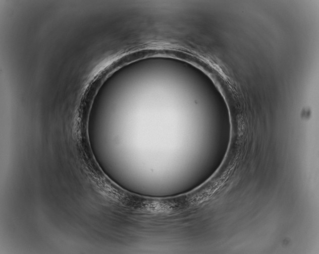 X0000100941311200807011235