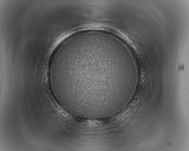 X0000100941312200807011235