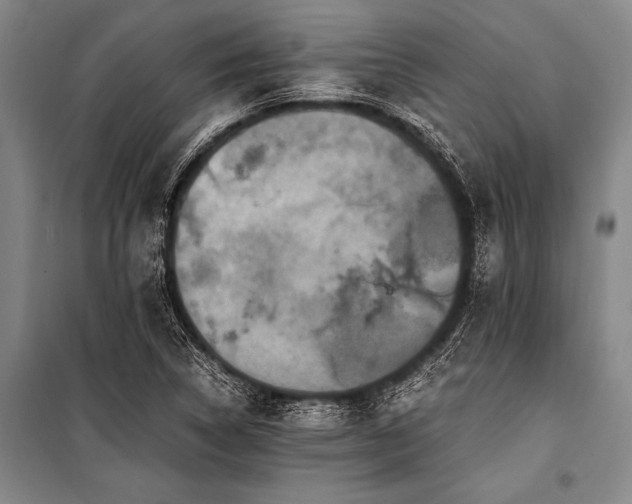 X0000100941314200807011235