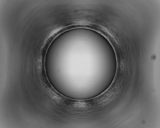 X0000100941315200807011235