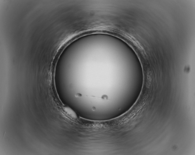 X0000100941316200807011235