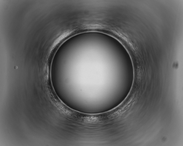 X0000100941317200807011235