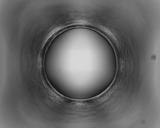 X0000100941318200807011235