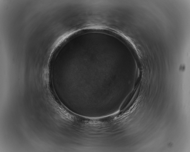 X0000100941319200807011235