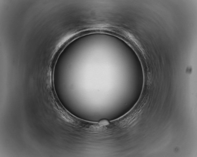 X0000100941320200807011235